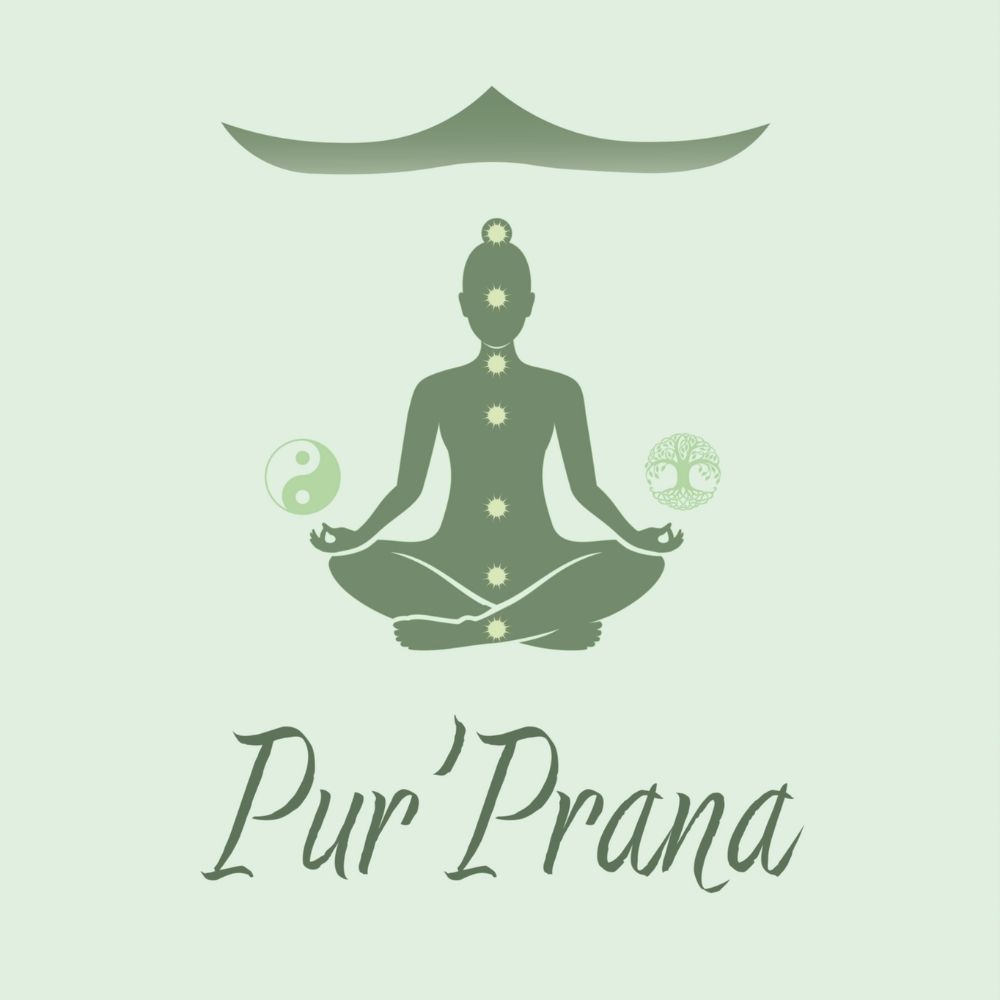 Réalisations 2023 - Com' Positive - Logo Pur'Prana
