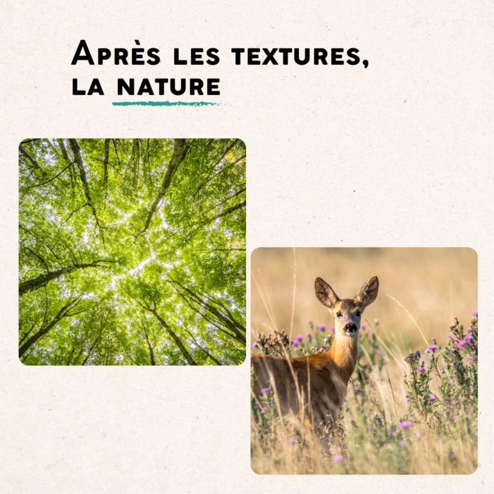 La nature aura donc une place importante dans les tendances graphiques 2025, pour des designs assez doux et sensibles.